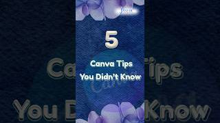 5 canva tips you didn`t know