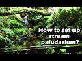 How make Paludarium stream Aquaterrarium - Cách làm bể bán cạn với dòng suối