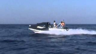 Viper 5.50 Legend By Nikolas