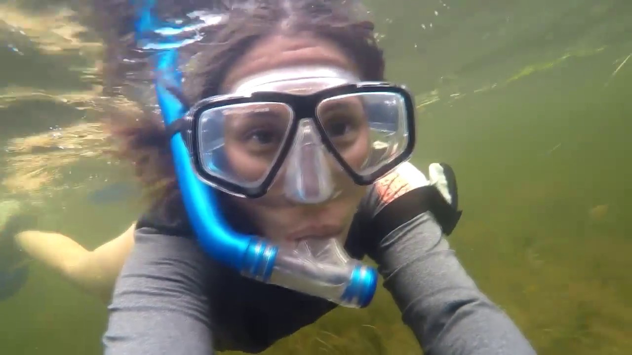 Scalloping and Fishing Horseshoe Beach, FL July 2019 YouTube