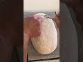 عجين ساوردو Dough Sourdough عجين ساوردو Dough Sourdough