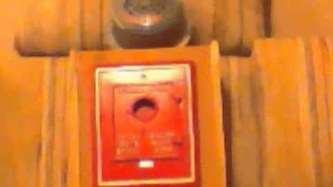 Auocall coded pull and horn.