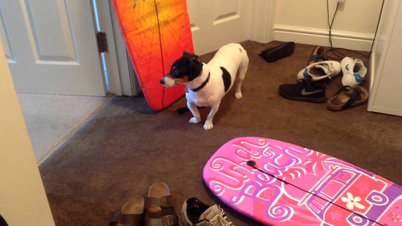 Our apartment in Devon / tour