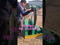 3 roll plate bending machine