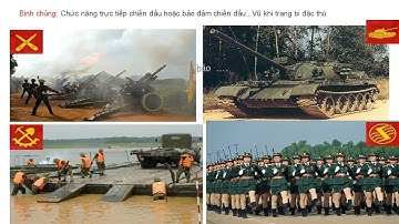 TIẾT 5 - BÀI 3: TỔ CHỨC QUÂN ĐỘI NHÂN DÂN VIỆT NAM