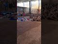 A Rotina Dos Presos Nas Cadeias Brasileira A Rotina Dos Presos Nas Cadeias Brasileira