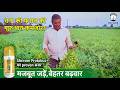 Boost Chickpea Growth and Yield with Shriram Protobuz Plus