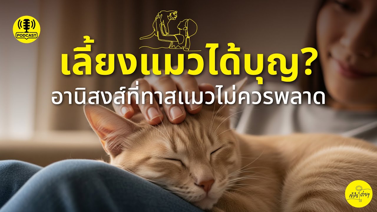 เลี้ยงแมว = ได้บุญ? อานิสงส์ที่ทาสแมวไม่ควรพลาด 😸 เข้าใจง่าย | Cute Series | ธรรมะฉบับเหมียวๆ