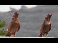 حمام كشكي احمر لمربي تركي ما شاء الله اشي مميز حمام كشكي احمر لمربي تركي ما شاء الله اشي مميز
