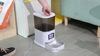 Reflecting On 2025 Smarter Pet Feeding, Looking Ahead To 2026