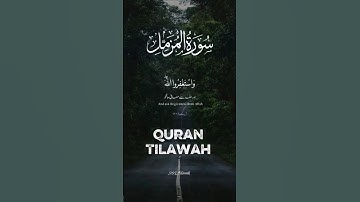 سورة المزمل تلاوة خاشعة تريح القلب | Surah Al-Muzzammil Beautiful & Emotional Quran Tilawah 2025