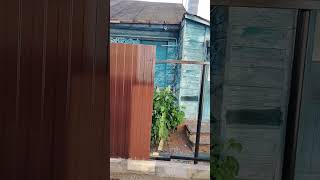 УСТАНОВКА ЗАБОРА ИЗ МЕТАЛЛОПРОФИЛЯ