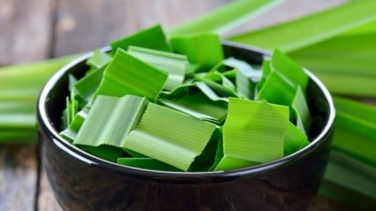 Cara Mengobati Ambeien dengan Daun Suji