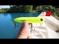 Crazy COLOR Topwater Fishing Challenge (Big Fish!)