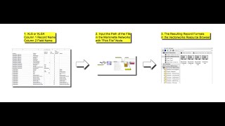 Marionette XLS Nodes - Example Record Formats
