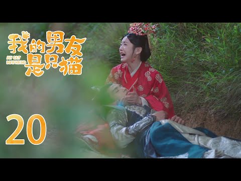 EP20 猫王子英雄救美命悬一线 可爱少女抱着他大声痛哭 他们能否度过难关🐱我的男友是只猫 My Cat Boyfriend｜奇幻甜宠爱情｜田曦薇《卿卿日常》、肖凯中