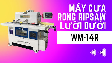 Cùng Nhau Tìm Hiểu Và Trải Nghiệm Máy Cưa Rong Ripsaw Lưỡi Dưới WM-14R.