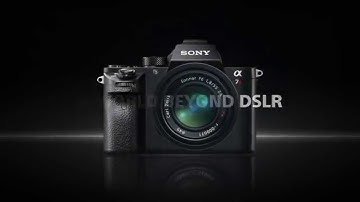 The Sony a7R II: Radically Advanced