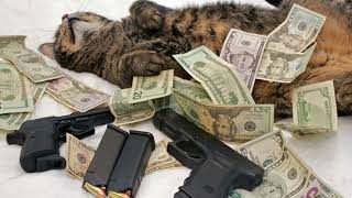 Nightcore - Miskeen Krissemane