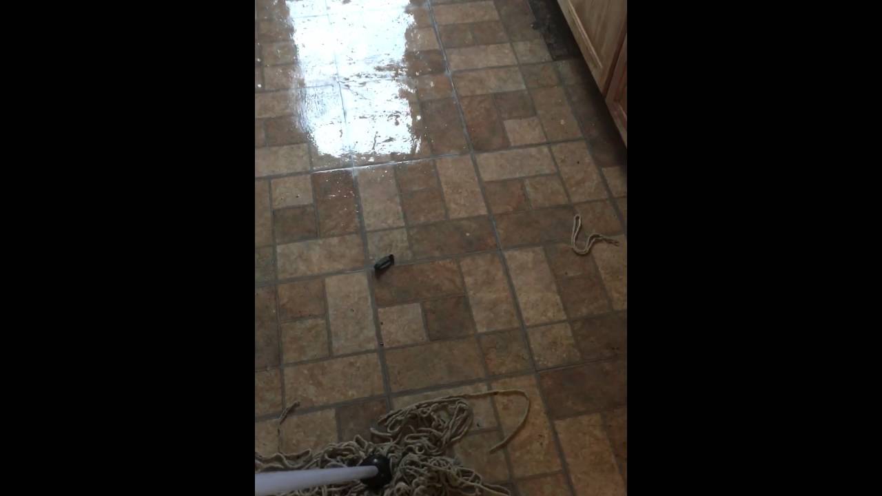 What Happens When You Buy A Dollar Store Mop Youtube