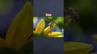 Things That May Be Extinct By 2050