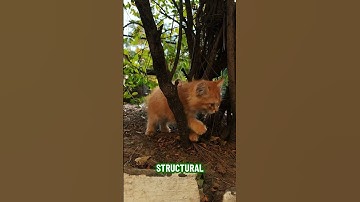 Latente ruimte: de verborgen hand van generatieve AI