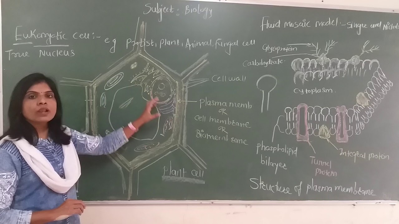 Grade XI Science . - YouTube