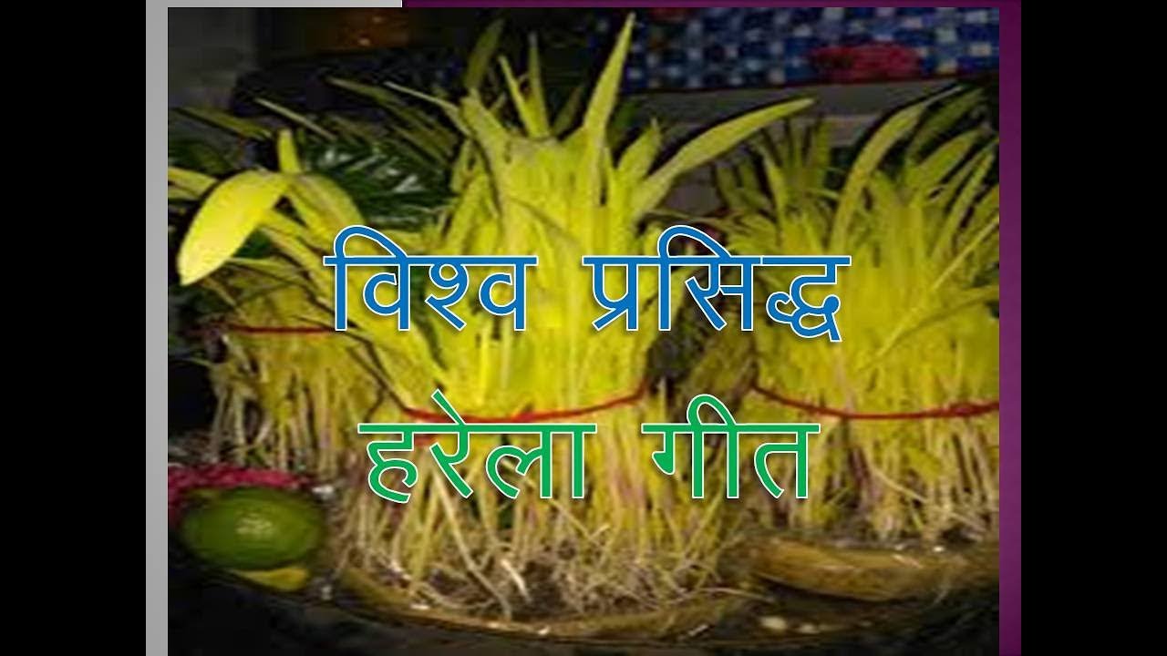 Special Famous Festival Of UTTARAKHAND YouTube Special Famous Festival Of UTTARAKHAND YouTube