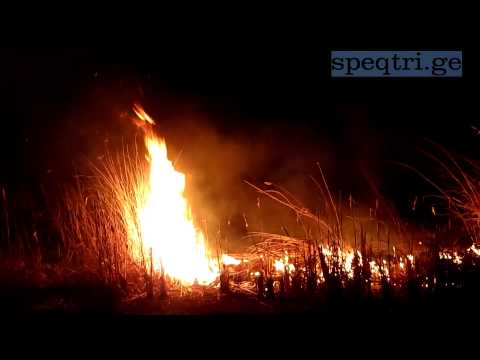 ხანძარი გურჯაანში