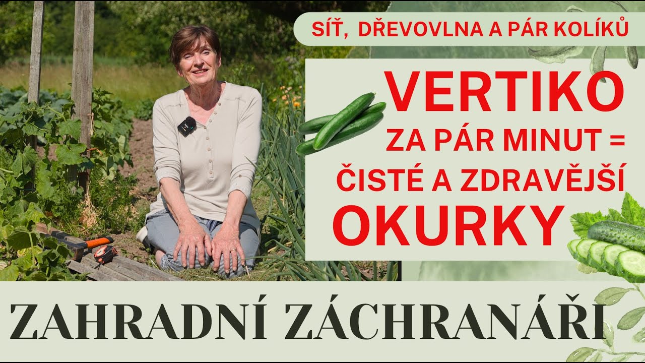 Dřevovlna, síť a kůly???- Okurky se zaradují a vy také. Je to tak snadné! #okurky #plisen #sit #vlna
