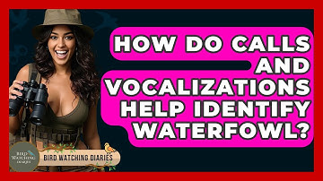How Do Calls And Vocalizations Help Identify Waterfowl? - Bird Watching Diaries