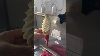 Pure Ice Cream Machine 😁