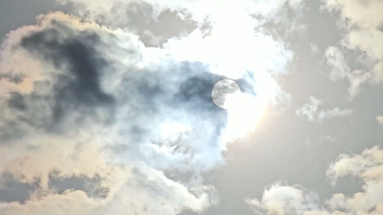 The view from where I paint.