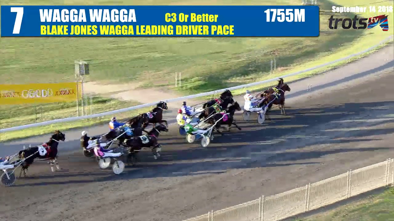WAGGA - 14/09/2018 - Race 7 - BLAKE JONES WAGGA LEADING DRIVER PACE ...