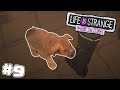 IL CUCCIOLINO DI FRANK! - Life is Strange: Before the Storm #9