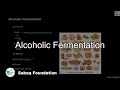 Alcoholic Fermentation (by Yeast), biology Lecture | Sabaq.pk |