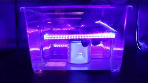 TADD Submersion Experiment - Powders Remain Dry