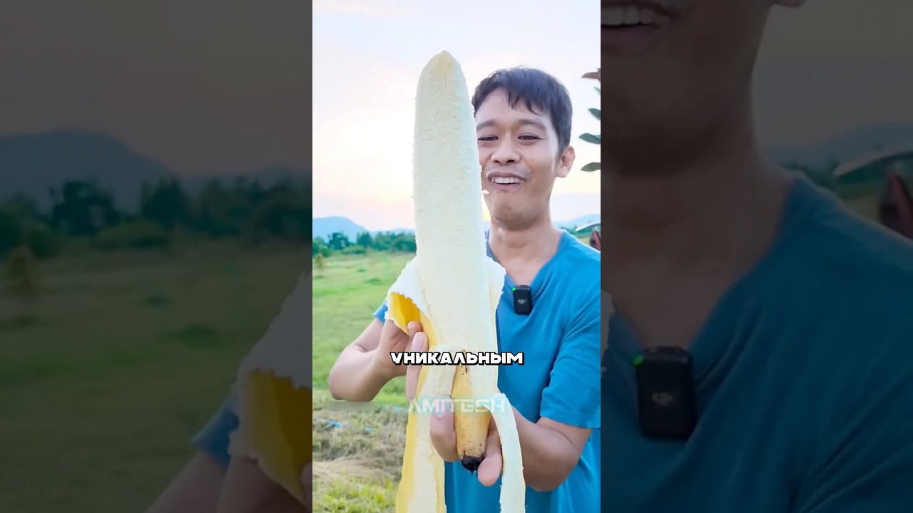 Банановое дерево - это не дерево 