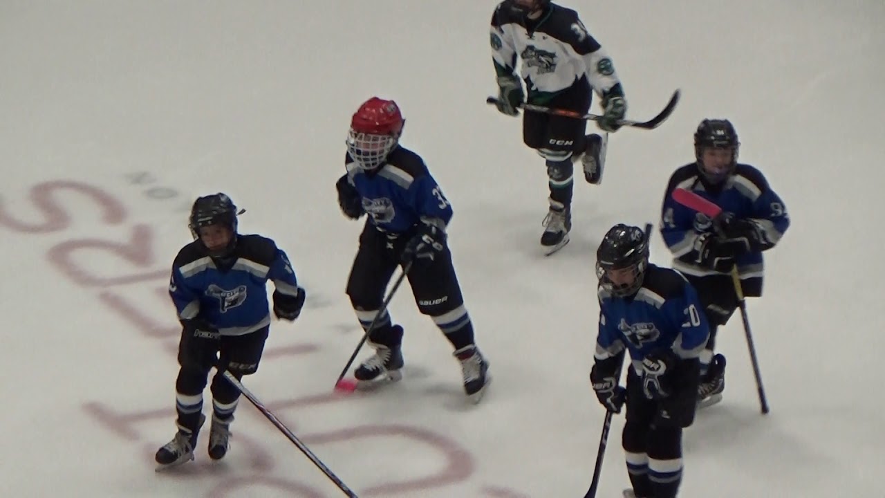 20192020 QuadCity Ice Eagles PeeWee Hockey highlights YouTube