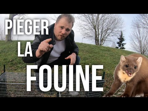 Piège à oeuf ou piège C910 ? – Journal du chasseur