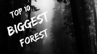 10 of the Largest Forests on the Planet You Need to See