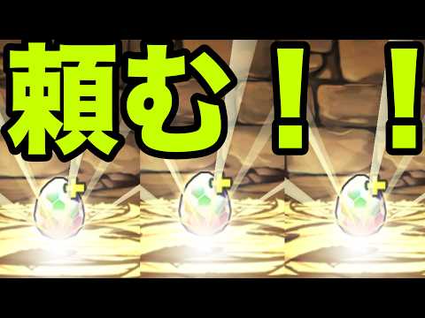 恐怖と絶望の『虚一点狙いガチャ』銀魂コラボ【パズドラ】