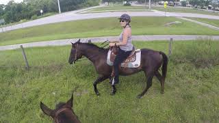 GOPR0090