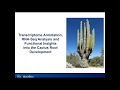 Webinar: De-Novo Transcriptome Analysis the Cactus Root Development with OmicsBox/Blast2GO