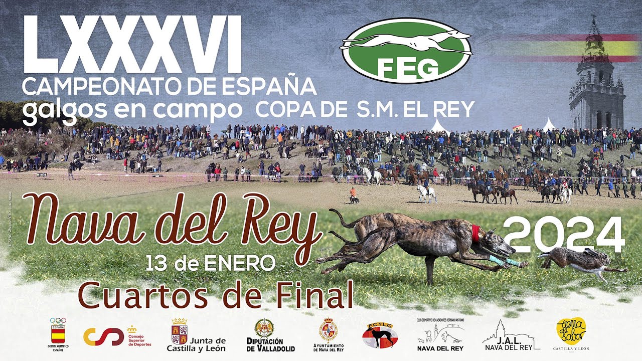 Primera Jornada. Los Mejores momentos  Cuartos de Final LXXXVI CTO DE ESPAÑA DE GALGOS EN CAMPO