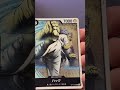 🔥 OP13 LEADER PULL! Lucky One Piece Booster Pack  #onepiece #tcg #onepiececards #op15 #ванпіс