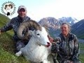 Dall Sheep Hunt Video - Alaska