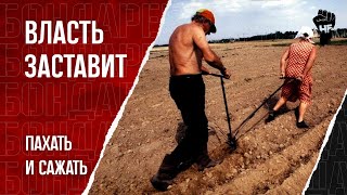 Есть дача? Плати штраф! Поборы власти усиливаются