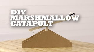 DIY Marshmallow Catapult