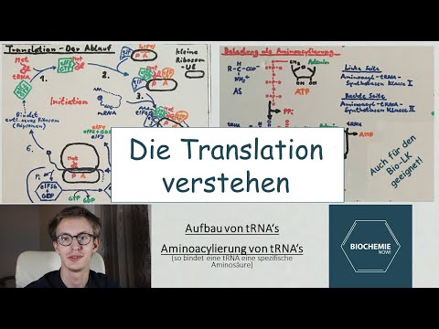 Video: Was ist die lykaonische Sprache?